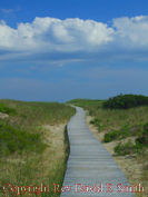 Boardwalk on Beach