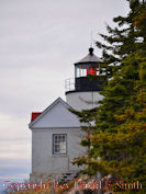 Bass Harbor Light