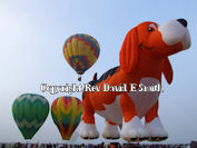 Link to Balloon Festival Images