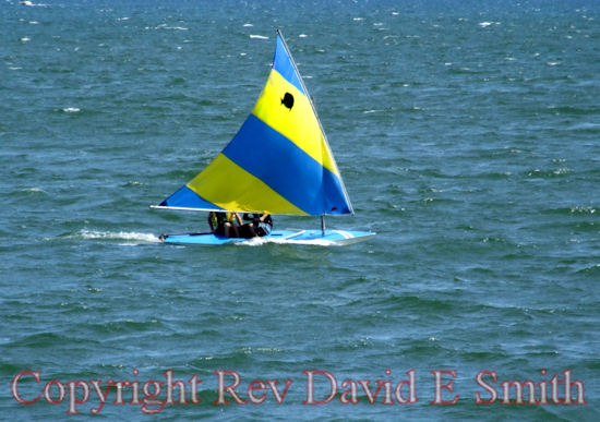 Sunfish on Cape Cod Bay