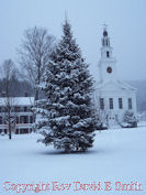 Chelsea Church and Pine in Winter